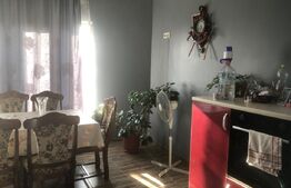 De vanzare casa 4 camere , 9 ari teren , intrare în  Paulesti