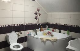 De vanzare casa 4 camere , 9 ari teren , intrare în  Paulesti