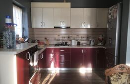 De vanzare casa 4 camere , 9 ari teren , intrare în  Paulesti