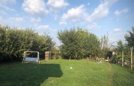 De vanzare casa 4 camere , 9 ari teren , intrare în  Paulesti