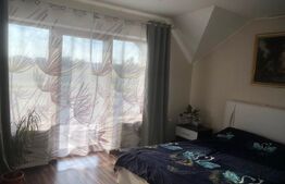 De vanzare casa 4 camere , 9 ari teren , intrare în  Paulesti