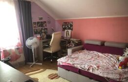 De vanzare casa 4 camere , 9 ari teren , intrare în  Paulesti