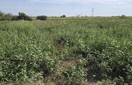 Casa de vanzare, 53 mp, 2400 mp teren, zona Periferie 