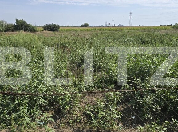 Casa de vânzare 1 camera Periferie - 176774CV | BLITZ Satu Mare | Poza7