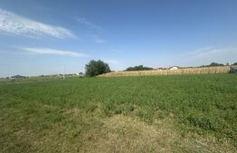 Teren intravilan, 1300mp ,Păulești