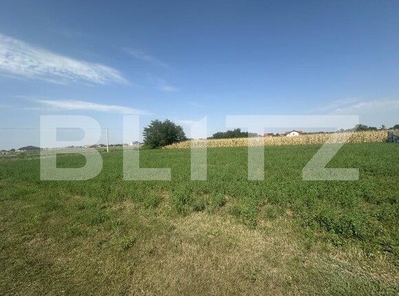 Teren de vânzare Paulesti - 176800TV | BLITZ Satu Mare | Poza2