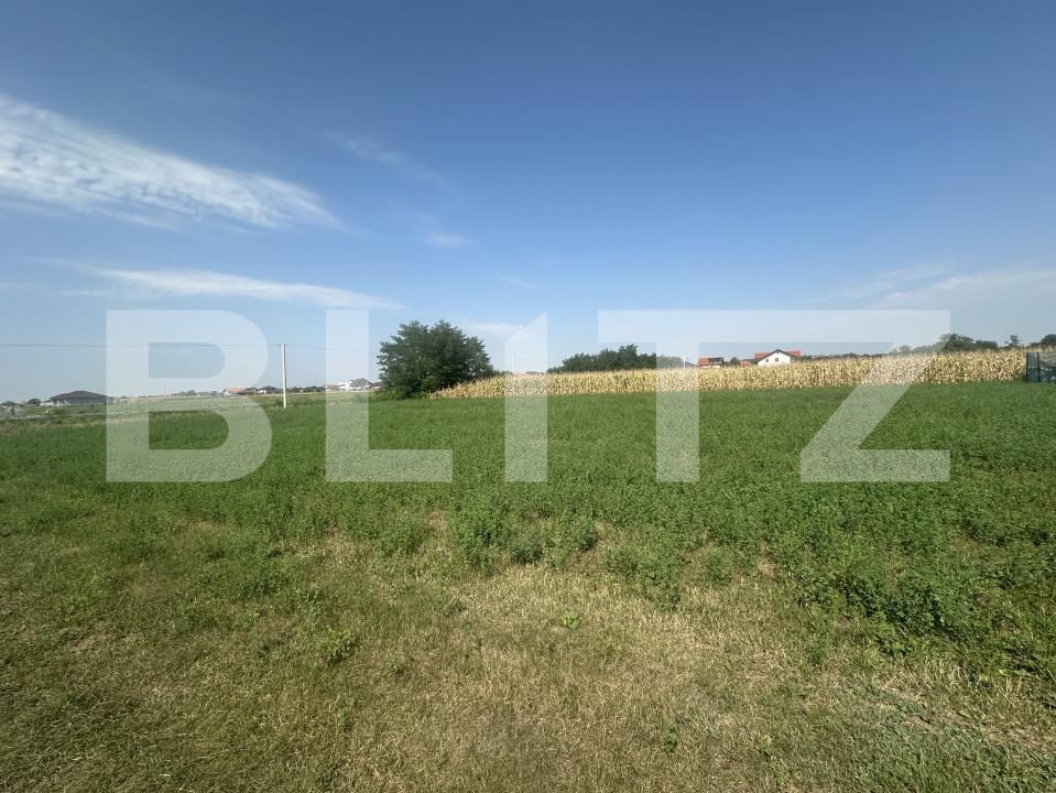 Teren de vânzare Paulesti - 176800TV | BLITZ Satu Mare | Poza2