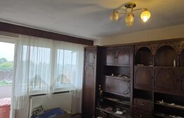 Apartament de vanzare, cu 2 camere, 46 mp, zona Micro 14