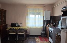 Casa de vanzare cu 2 camere, 77 mp, zona Botizului