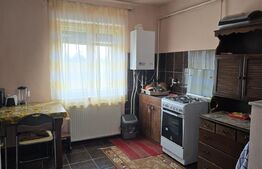 Casa de vanzare cu 2 camere, 77 mp, zona Botizului