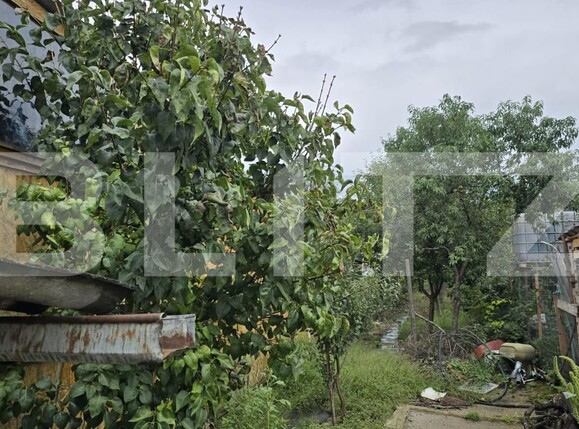 Casa de vânzare 2 camere Botizului - 177386CV | BLITZ Satu Mare | Poza9