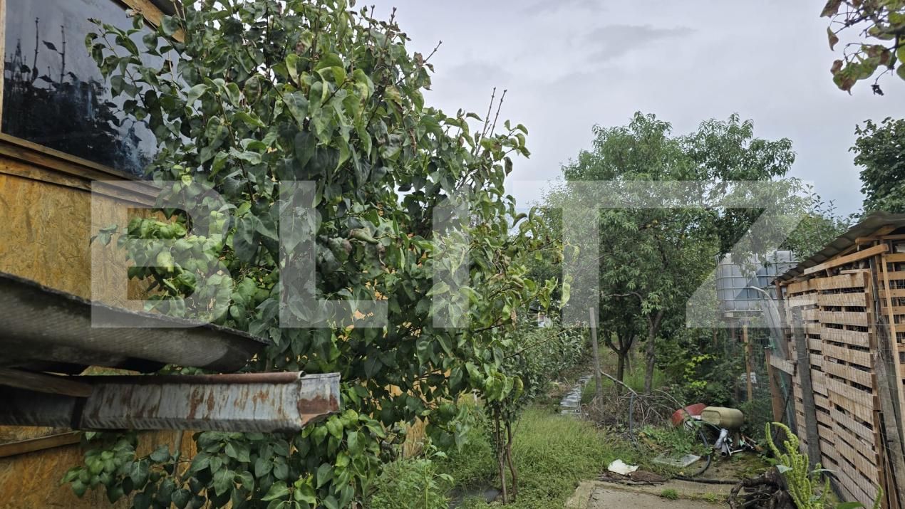 Casa de vânzare 2 camere Botizului - 177386CV | BLITZ Satu Mare | Poza9