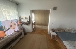 Apartament de vanzare, cu 5 camere, zona Centrala, 110 mp
