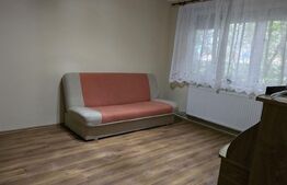Apartament de vanzare, cu 2 camere, 46 mp, zona Careiului