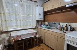 Apartament de vanzare, cu 2 camere, 46 mp, zona Careiului