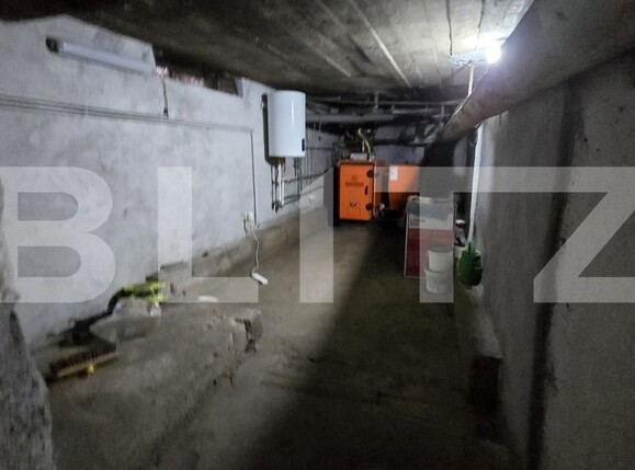 Casa de vânzare 4 camere Odoreu - 177777CV | BLITZ Satu Mare | Poza13