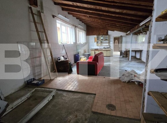 Casa de vânzare 4 camere Odoreu - 177777CV | BLITZ Satu Mare | Poza10