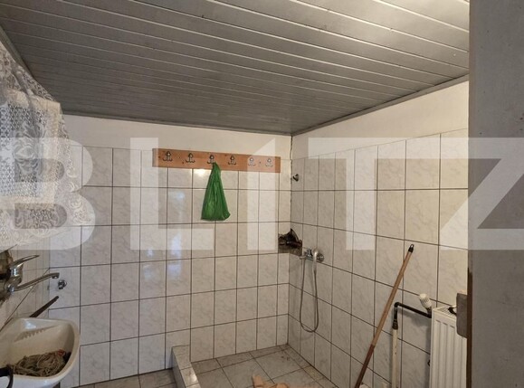 Casa de vânzare 4 camere Odoreu - 177777CV | BLITZ Satu Mare | Poza6