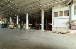 Hala industrială 3000 mp de închiriat – zona Strada Careiului