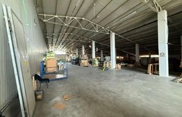 Hala industrială 3000 mp de închiriat – zona Strada Careiului