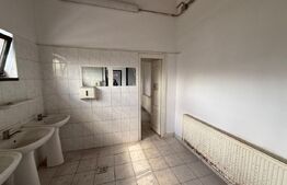 Hala industrială 3000 mp de închiriat – zona Strada Careiului