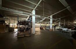 Hala industrială 3000 mp de închiriat – zona Strada Careiului