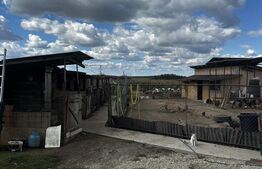 Casa de vanzare, 265 mp, zona Boghis