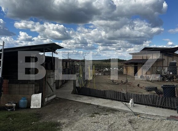 Casa de vânzare 4 camere Exterior Vest - 177972CV | BLITZ Satu Mare | Poza13