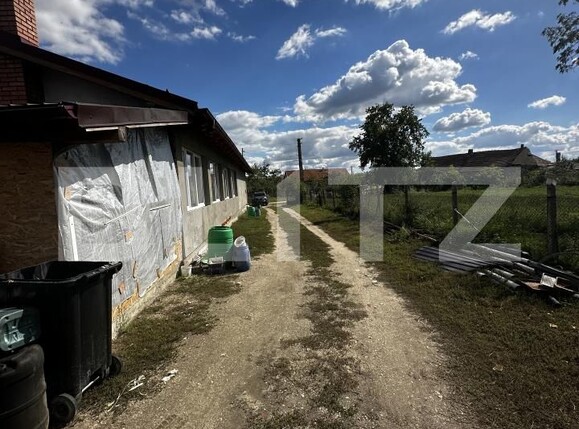 Casa de vânzare 4 camere Exterior Vest - 177972CV | BLITZ Satu Mare | Poza12