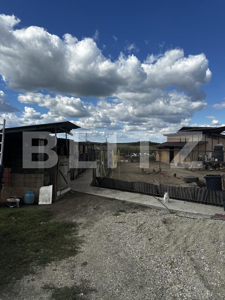 Casa de vânzare 4 camere Exterior Vest - 177972CV | BLITZ Satu Mare | Poza13