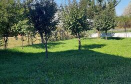 Casa de vanzare, 176mp utili, zona Balta Blonda