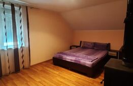 Casa de vanzare, 176mp utili, zona Balta Blonda