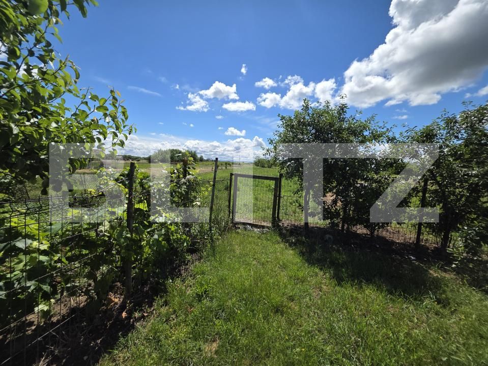 Casa de vânzare 4 camere Periferie - 178099CV | BLITZ Satu Mare | Poza12