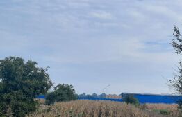 Teren de vânzare Closca - 180420TV | BLITZ Satu Mare | Poza1