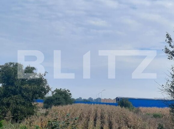Teren de vânzare Careiului - 178341TV | BLITZ Satu Mare | Poza1