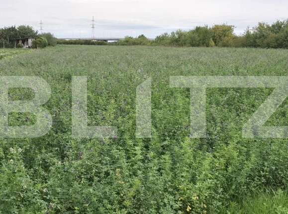Teren de vânzare Nord - 178498TV | BLITZ Satu Mare | Poza1