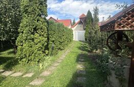 Casa de vanzare, 195 mp, 1100 mp teren, zona Lucian Blaga