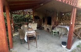 Casa de vanzare, 195 mp, 1100 mp teren, zona Lucian Blaga