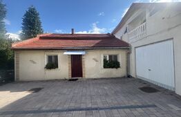 Casa de vanzare, 195 mp, 1100 mp teren, zona Lucian Blaga