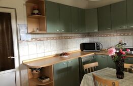 Casa de vanzare, 195 mp, 1100 mp teren, zona Lucian Blaga