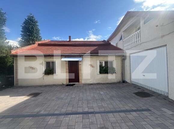Casa de vânzare 5 camere Lucian Blaga - 178537CV | BLITZ Satu Mare | Poza5