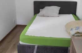 Apartament de vanzare 2 camere, 33 mp, zona Solidaritatii Satu Mare 