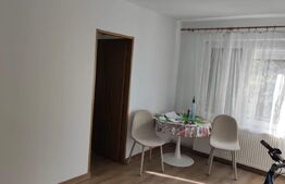 Apartament de vanzare 2 camere, 33 mp, zona Solidaritatii Satu Mare 