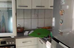 Apartament de vanzare 2 camere, 33 mp, zona Solidaritatii Satu Mare 