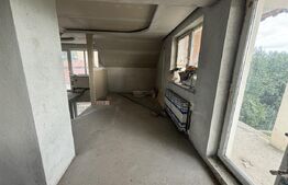 Casă de vânzare, 120 mp utili, teren 780 mp, zona Botizului