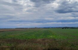 Teren de vânzare Exterior Vest - 122384TV | BLITZ Satu Mare | Poza3