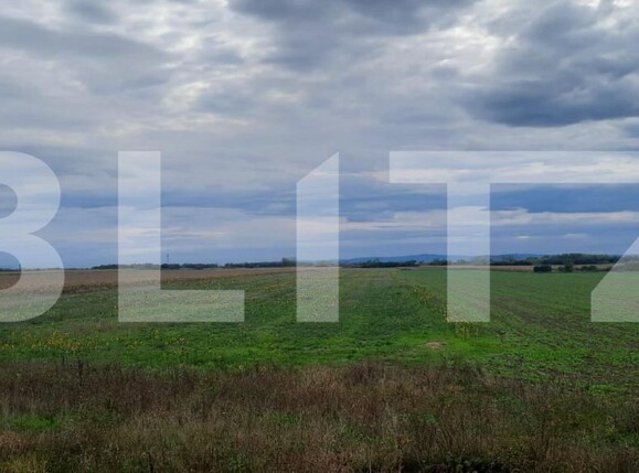 Teren de vânzare Semicentral - 178609TV | BLITZ Satu Mare | Poza1