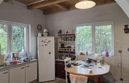 Casa 5 camere , 300 mp;  Teren - 2000 mp . Viile Satu Mare