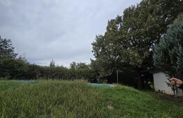 Casa 5 camere , 300 mp;  Teren - 2000 mp . Viile Satu Mare