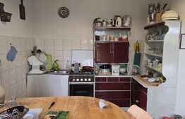 Casa 5 camere , 300 mp;  Teren - 2000 mp . Viile Satu Mare